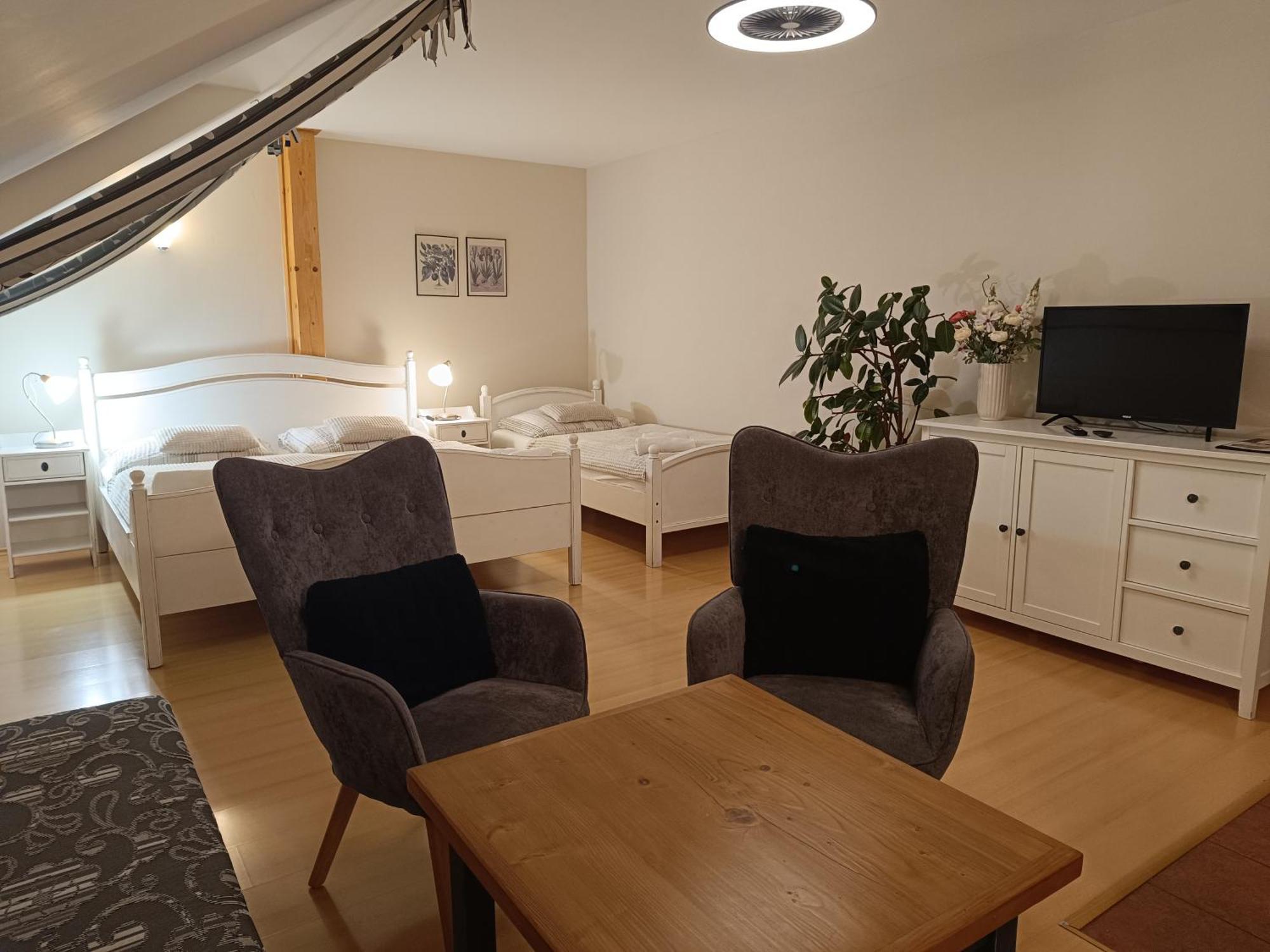 Penzion V Podzamci Litomyšl Extérieur photo