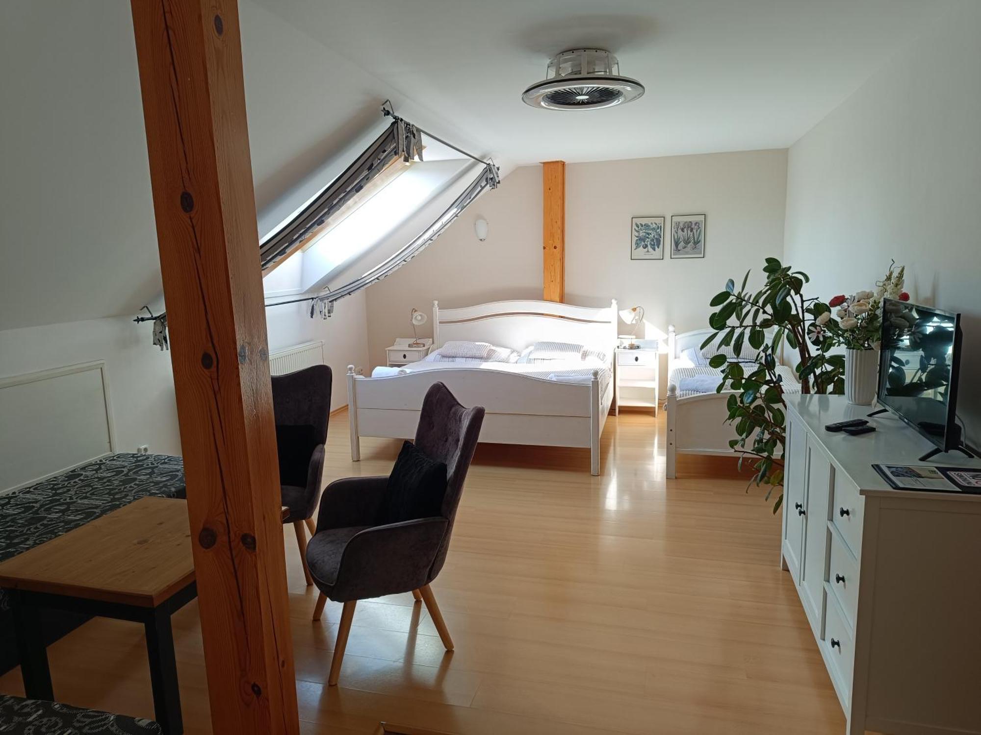 Penzion V Podzamci Litomyšl Extérieur photo