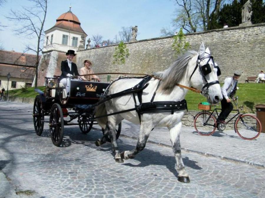 Penzion V Podzamci Litomyšl Extérieur photo
